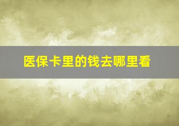 医保卡里的钱去哪里看