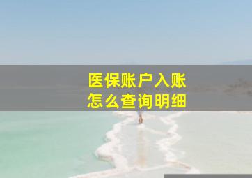 医保账户入账怎么查询明细