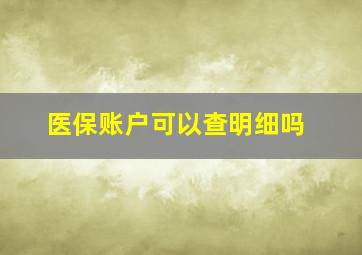 医保账户可以查明细吗