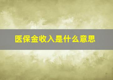 医保金收入是什么意思