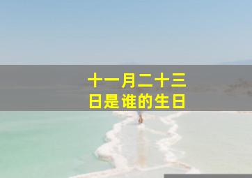 十一月二十三日是谁的生日