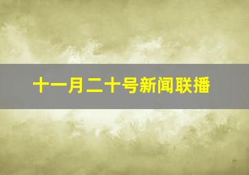 十一月二十号新闻联播