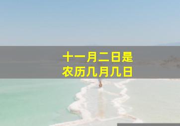 十一月二日是农历几月几日