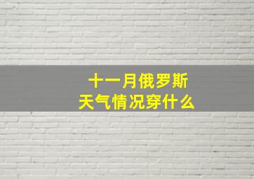 十一月俄罗斯天气情况穿什么