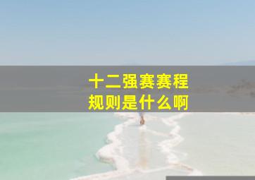 十二强赛赛程规则是什么啊