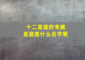 十二星座的专属星座是什么名字呢