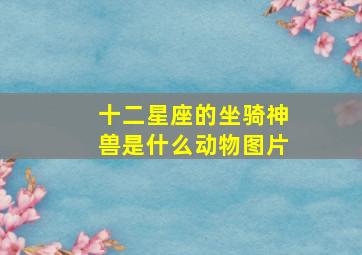 十二星座的坐骑神兽是什么动物图片