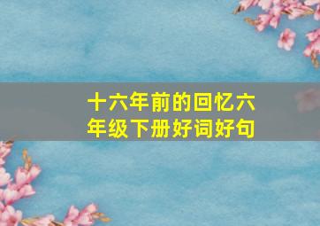 十六年前的回忆六年级下册好词好句