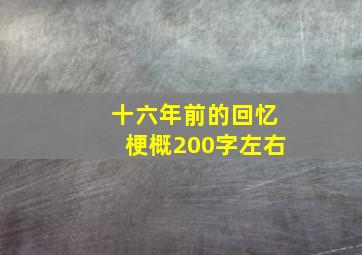 十六年前的回忆梗概200字左右