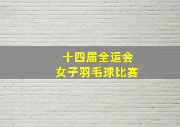 十四届全运会女子羽毛球比赛