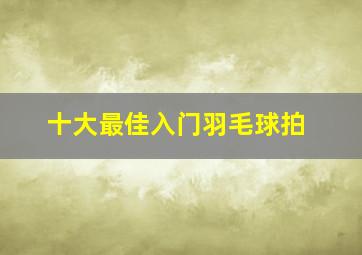 十大最佳入门羽毛球拍