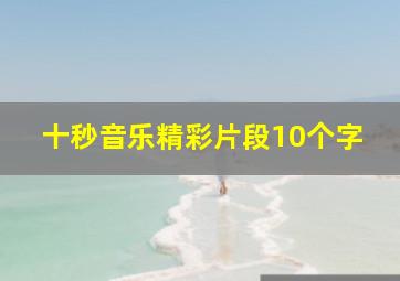 十秒音乐精彩片段10个字