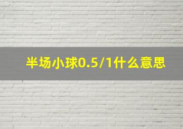 半场小球0.5/1什么意思