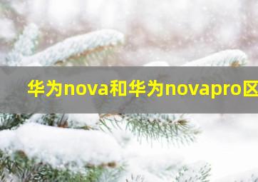 华为nova和华为novapro区别