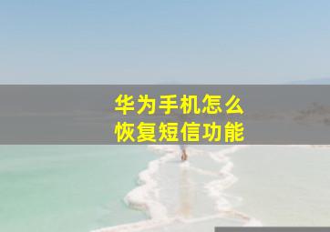 华为手机怎么恢复短信功能