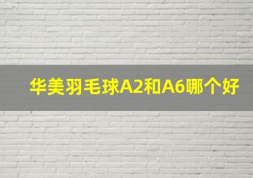 华美羽毛球A2和A6哪个好