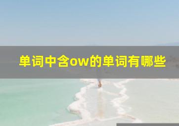 单词中含ow的单词有哪些