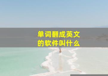 单词翻成英文的软件叫什么