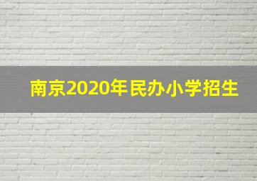 南京2020年民办小学招生