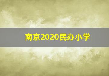 南京2020民办小学