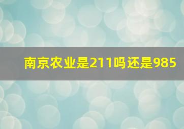 南京农业是211吗还是985