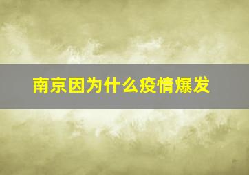 南京因为什么疫情爆发