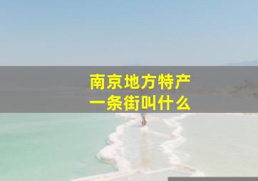 南京地方特产一条街叫什么