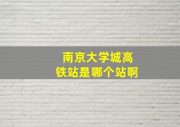 南京大学城高铁站是哪个站啊