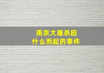 南京大屠杀因什么而起的事件