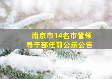 南京市14名市管领导干部任前公示公告