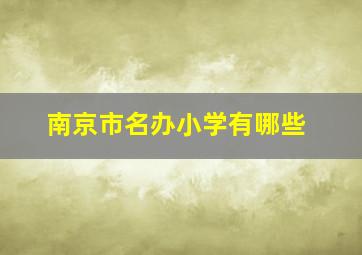 南京市名办小学有哪些