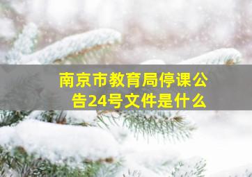 南京市教育局停课公告24号文件是什么