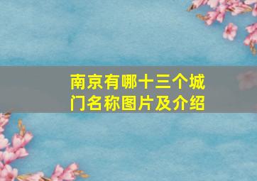 南京有哪十三个城门名称图片及介绍