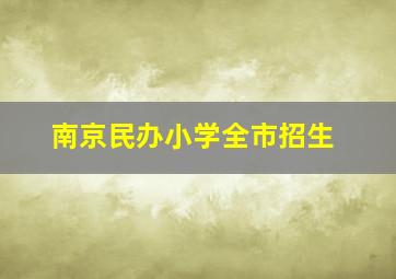 南京民办小学全市招生