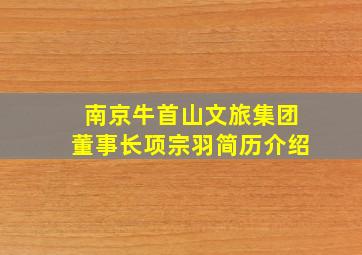 南京牛首山文旅集团董事长项宗羽简历介绍