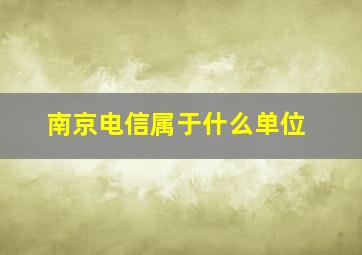 南京电信属于什么单位