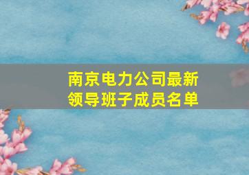 南京电力公司最新领导班子成员名单