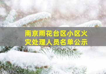 南京雨花台区小区火灾处理人员名单公示