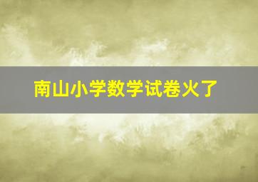 南山小学数学试卷火了