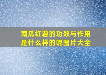 南瓜红薯的功效与作用是什么样的呢图片大全