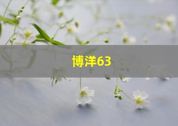 博洋63