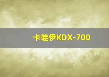 卡哇伊KDX-700