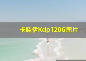 卡哇伊Kdp120G图片