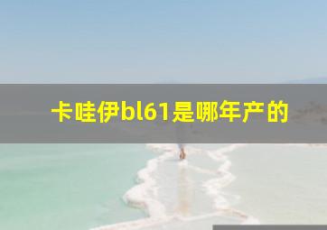 卡哇伊bl61是哪年产的