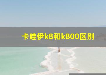 卡哇伊k8和k800区别