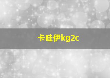 卡哇伊kg2c