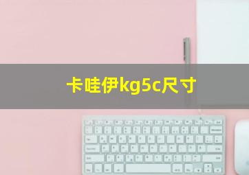 卡哇伊kg5c尺寸