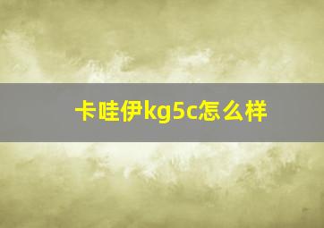 卡哇伊kg5c怎么样