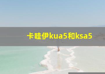 卡哇伊kua5和ksa5