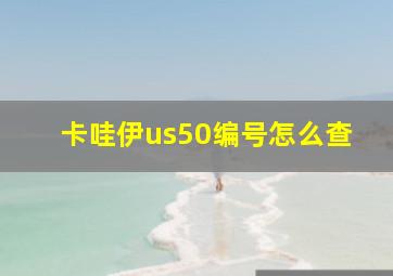 卡哇伊us50编号怎么查